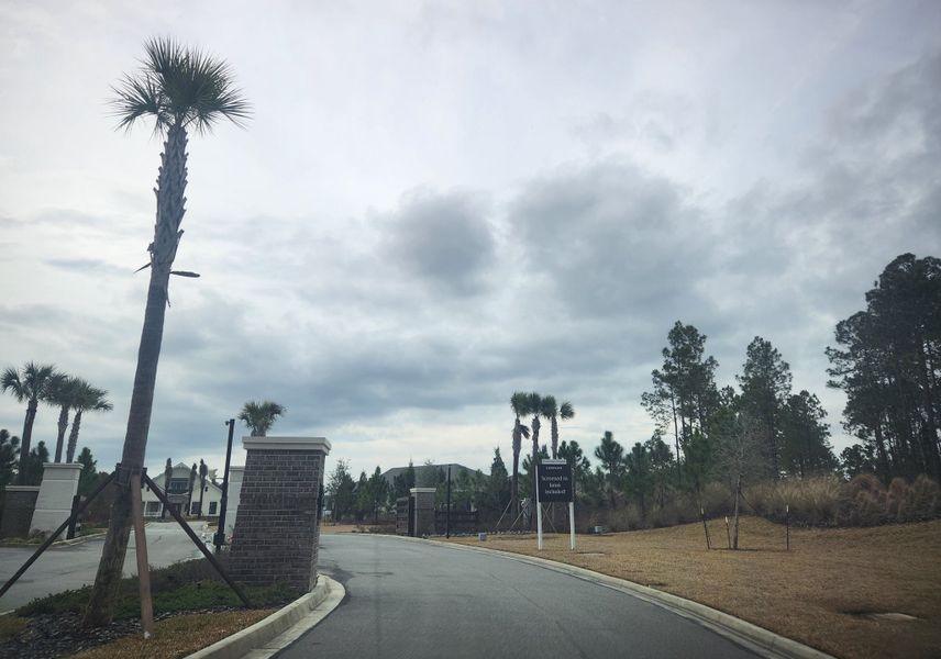 A welcoming gated entrance with palm trees and manicured landscape in Tributary: Tributary Classic Collection by Lennar (Yulee, FL). A welcoming gated entrance with palm trees and manicured landscape in Tributary: Tributary Classic Collection by Lennar (Yulee, FL).