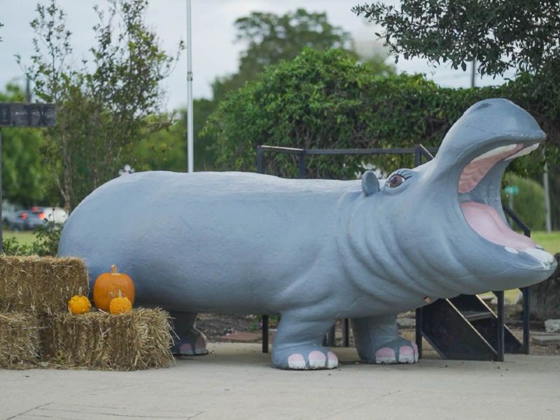 Come home to Hutto, known for its legendary "Hippo Spirit."