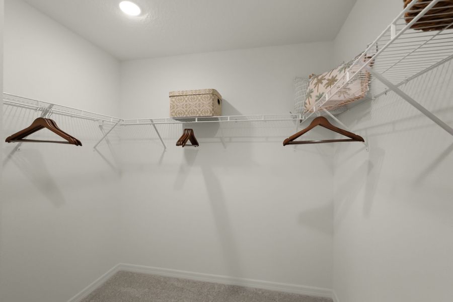 Primary Closet