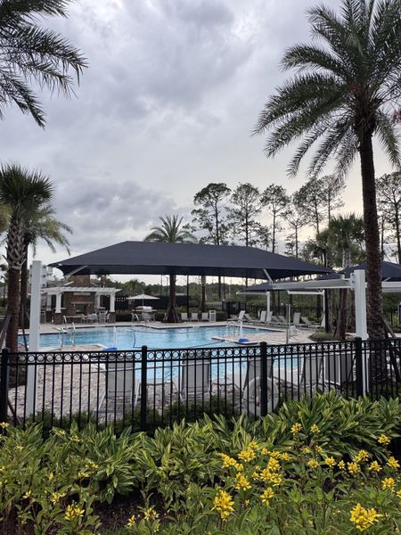 A picturesque community pool with lush landscaping and palm trees at Summer Bay at Grand Oaks by Pulte Homes (St. Augustine, FL). A picturesque community pool with lush landscaping and palm trees at Summer Bay at Grand Oaks by Pulte Homes (St. Augustine, FL).