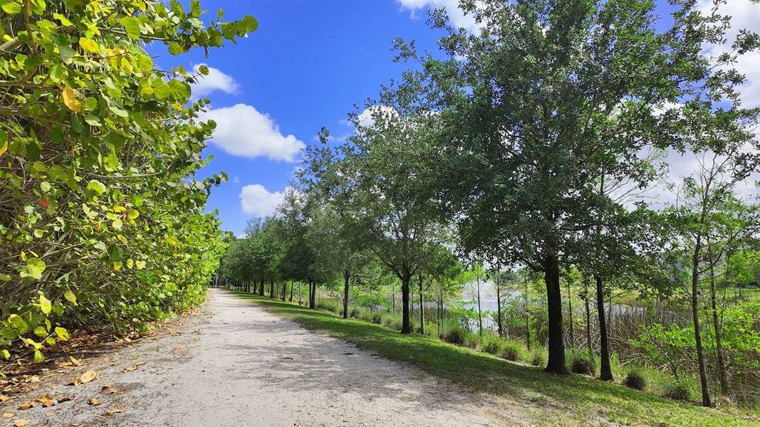 Enjoy taking a walk on over 1.5 miles of nature trails Enjoy taking a walk on over 1.5 miles of nature trails