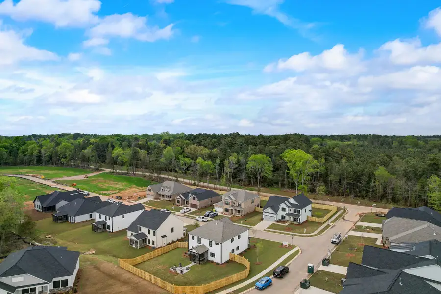 Collins Cove Aerial View
