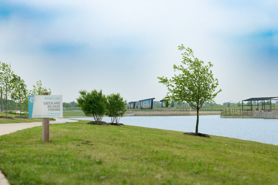Natural surroundings and green spaces near Solterra in Mesquite, TX (Image 111).