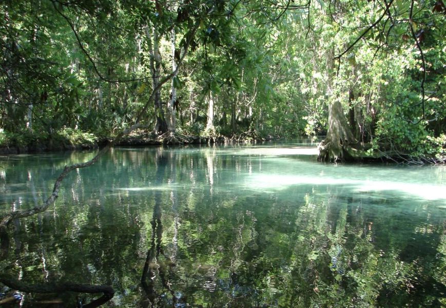 Natural surroundings and green spaces near Spring Hill in Spring Hill, FL (Image 27). Natural surroundings and green spaces near Spring Hill in Spring Hill, FL (Image 27).