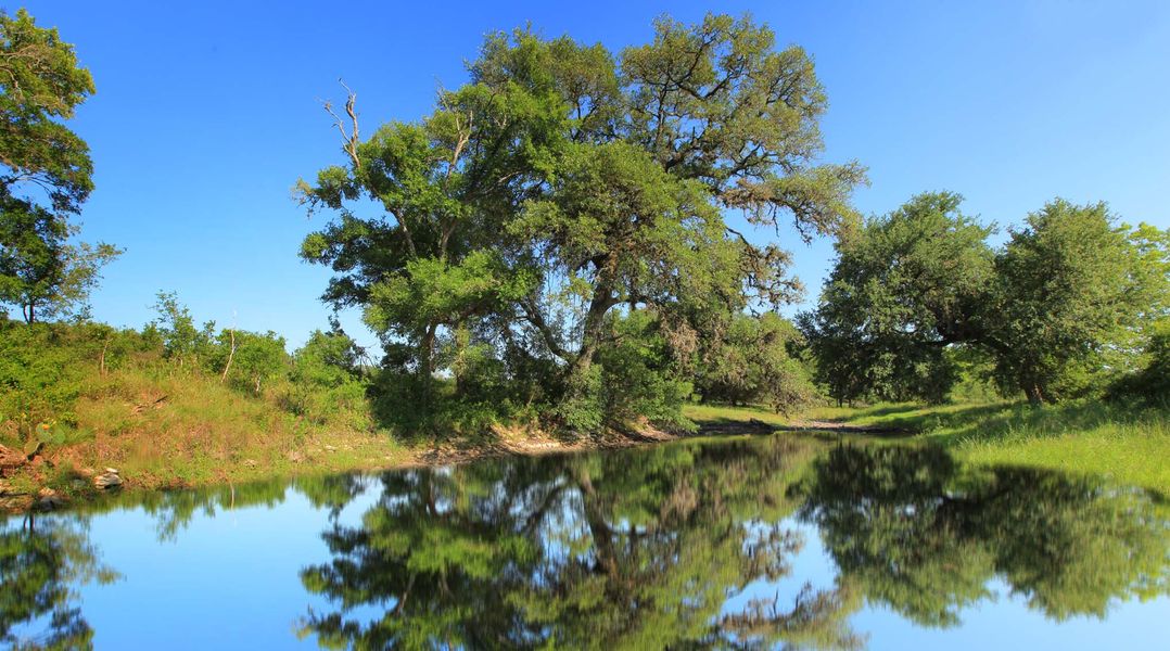 Natural surroundings and green spaces near Meyer Ranch in New Braunfels, TX (Image 31).