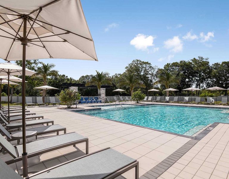 Community amenity available to residents of Volanti in Lutz (Image 14).