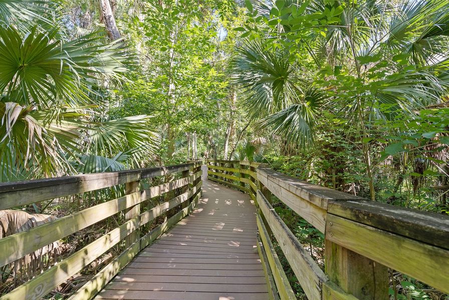 De Bary Black Bear Wilderness Area 1of2 7 30 25