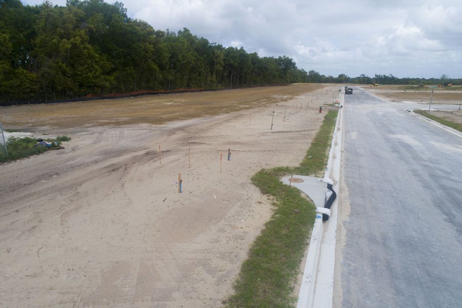 Streetscape Streetscape