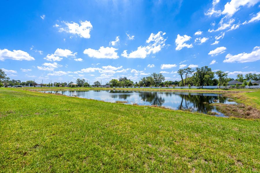 Natural surroundings and green spaces near Shenandoah Reserve in Orlando, FL (Image 44).