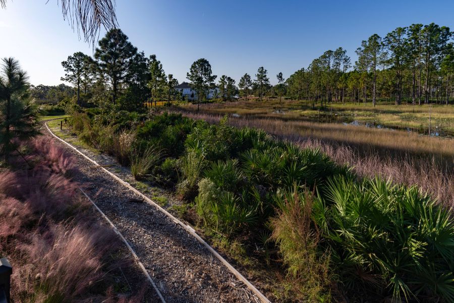 Trinity Gardens in DeLand, FL – New Home Community Surrounded by Nature Trinity Gardens in DeLand, FL – New Home Community Surrounded by Nature