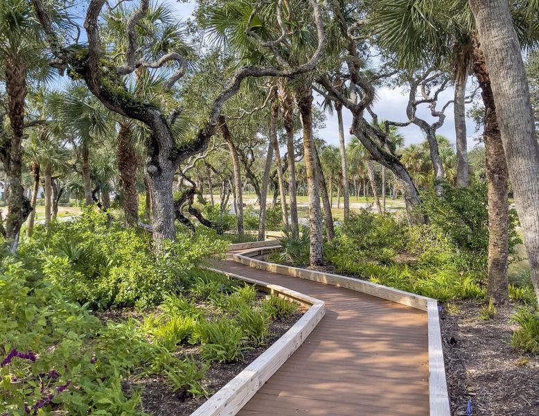 Boardwalk Nature Trail | Seaglass:Boardwalk Nature Trail | Seaglass