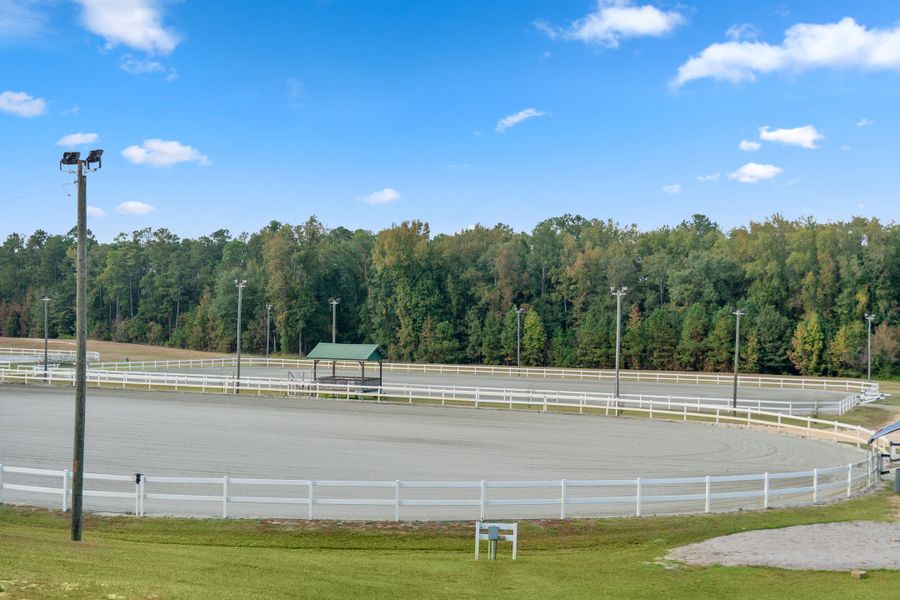 South Haven Equine Park 3