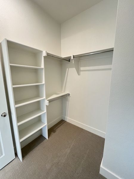 A spacious walk-in closet with white shelving, hanging rods, and soft carpeting. A spacious walk-in closet with white shelving, hanging rods, and soft carpeting.