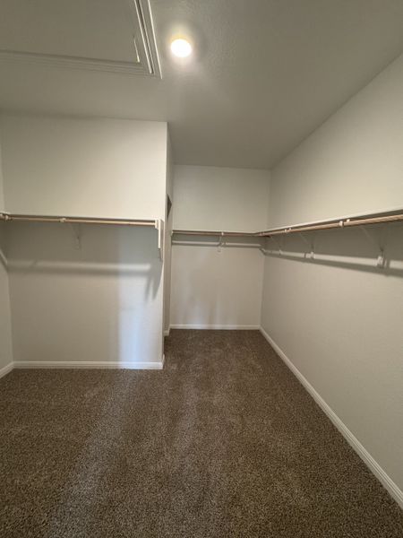 A spacious walk-in closet with soft carpeting, ample hanging space, and bright lighting.