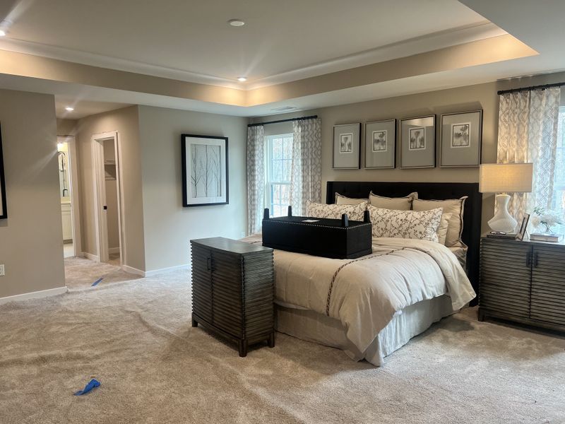 A spacious bedroom with elegant decor, plush carpeting, and soft lighting, creating a cozy and inviting retreat.