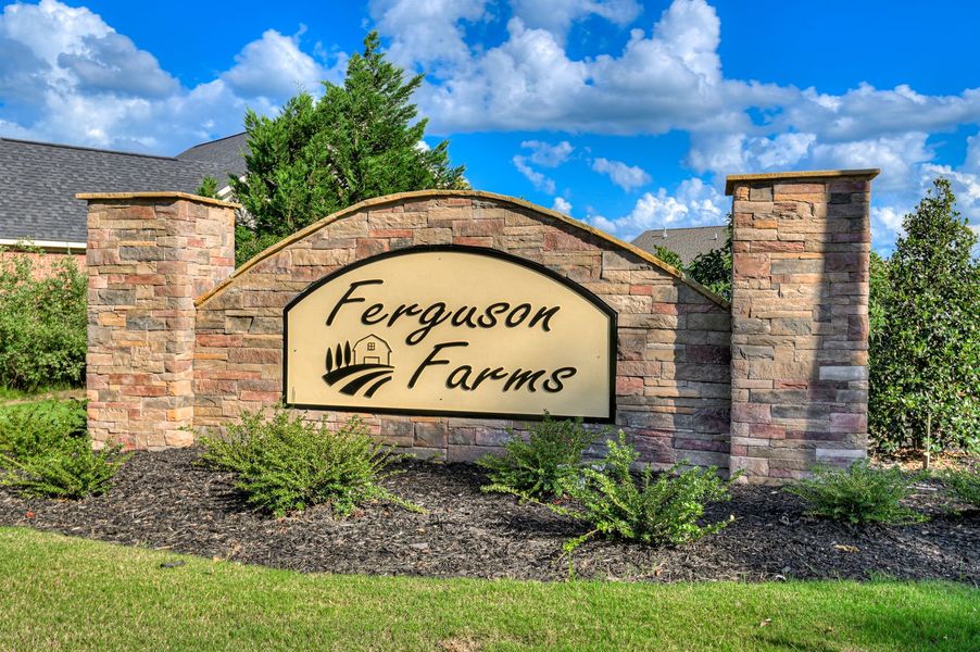 Ferguson Farms