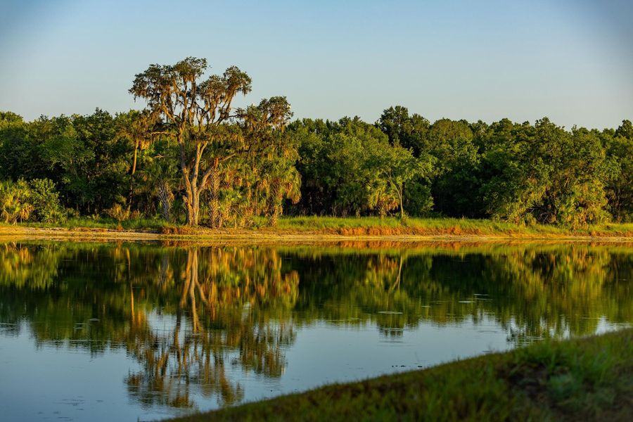 In addition to prime preserve views, the community is graced with ancient oaks and picturesque landscapes.