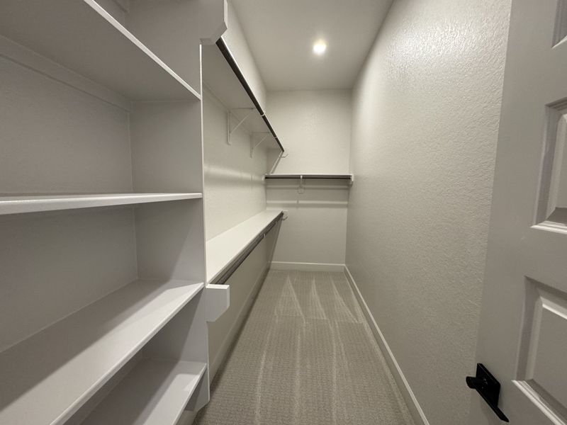 A spacious walk-in closet with ample shelving, hanging rods, and soft lighting over neutral carpeting.