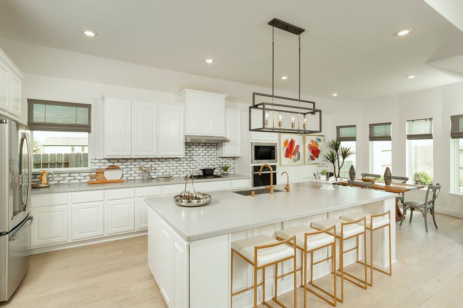 Image 4 of the Towne Lake 60' community in Cypress, TX.