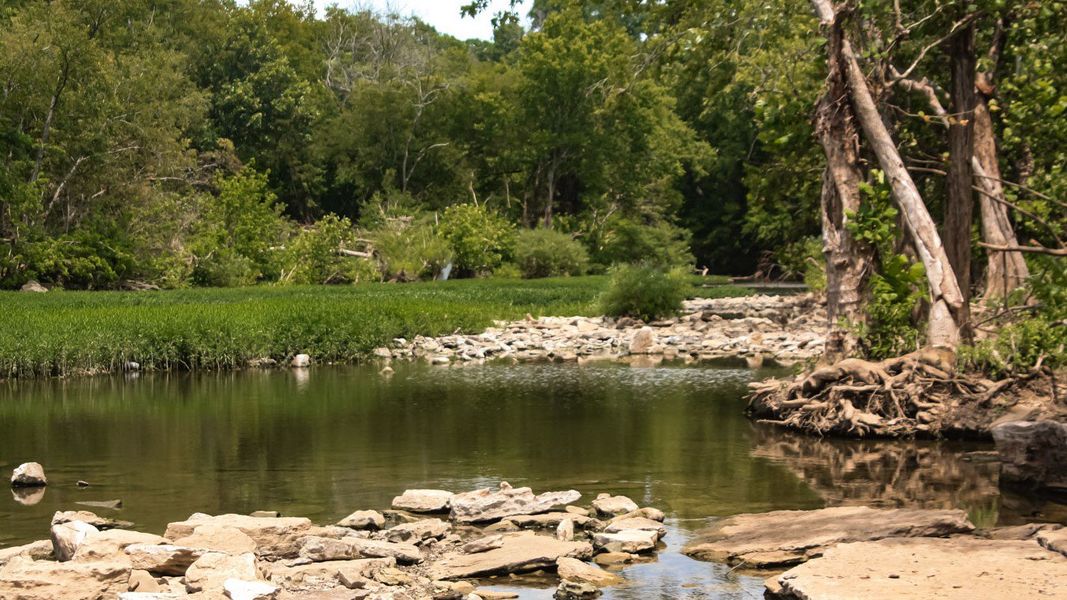 Natural surroundings and green spaces near River Landing in Murfreesboro, TN (Image 35).
