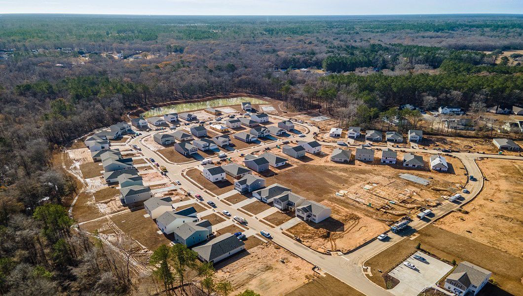 Image 41 of the Reserve at Mallard Crossing community in Summerville, SC.