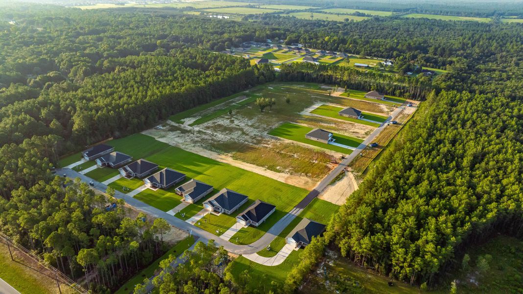 Image 46 of the Clear Water Landing community in Milton, FL.