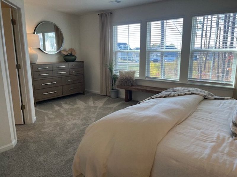 A cozy bedroom with a plush carpet, large windows, a modern dresser, elegant decor, and a soft bed in neutral tones.