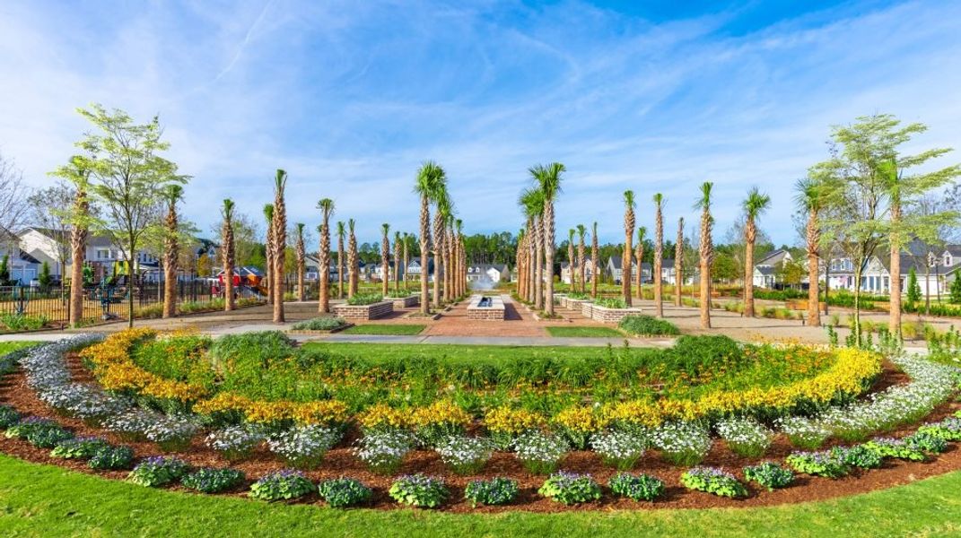 Image 8 of the Azalea Ridge at Summers Corner: Carolina Collection community in Summerville, SC.