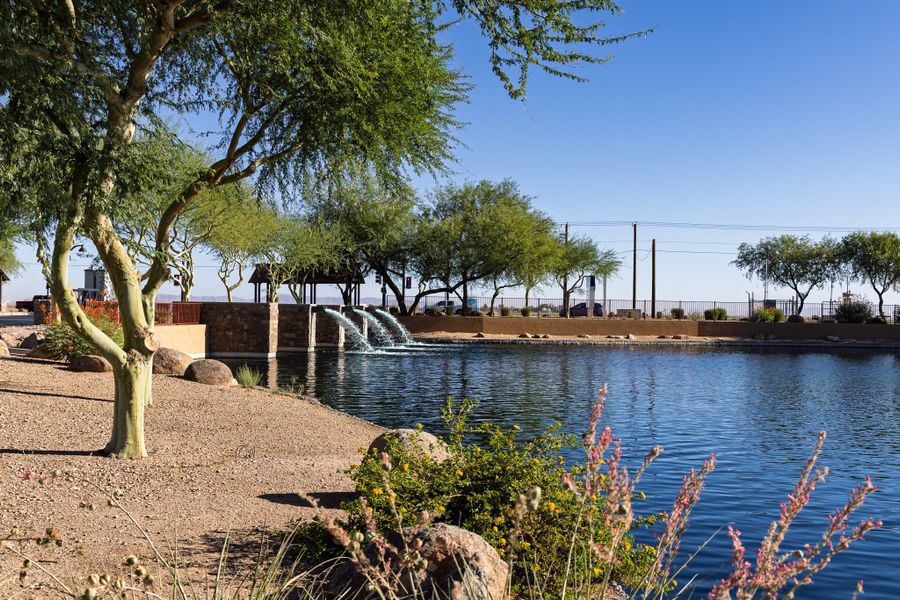 Natural surroundings and green spaces near Rancho Mirage in Maricopa, AZ (Image 38).