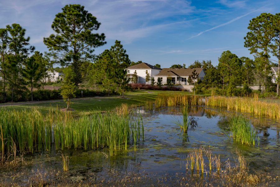 Trinity Gardens in DeLand, FL – New Home Community Surrounded by Nature Trinity Gardens in DeLand, FL – New Home Community Surrounded by Nature