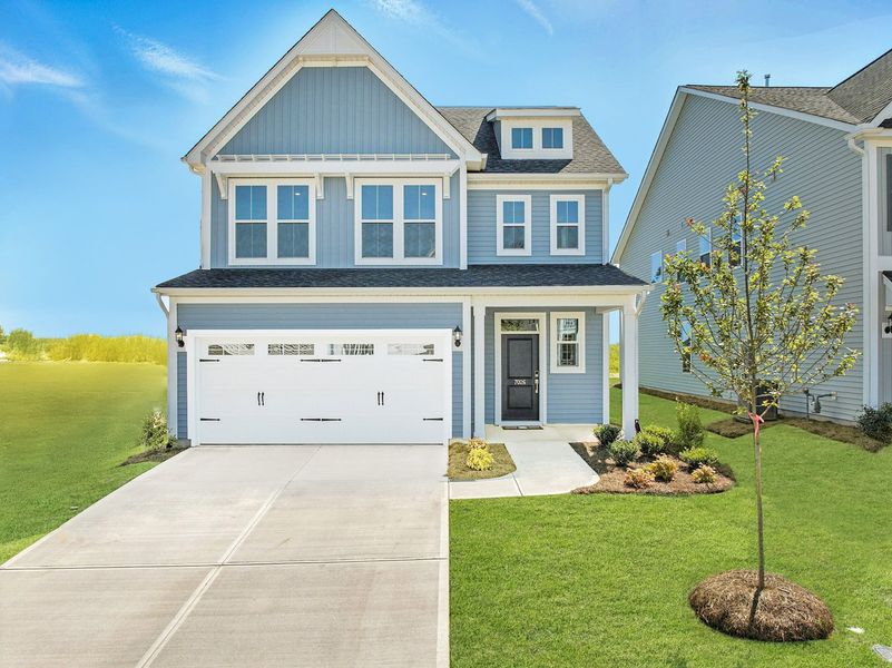 Vanguard Collection | Ashley Plan