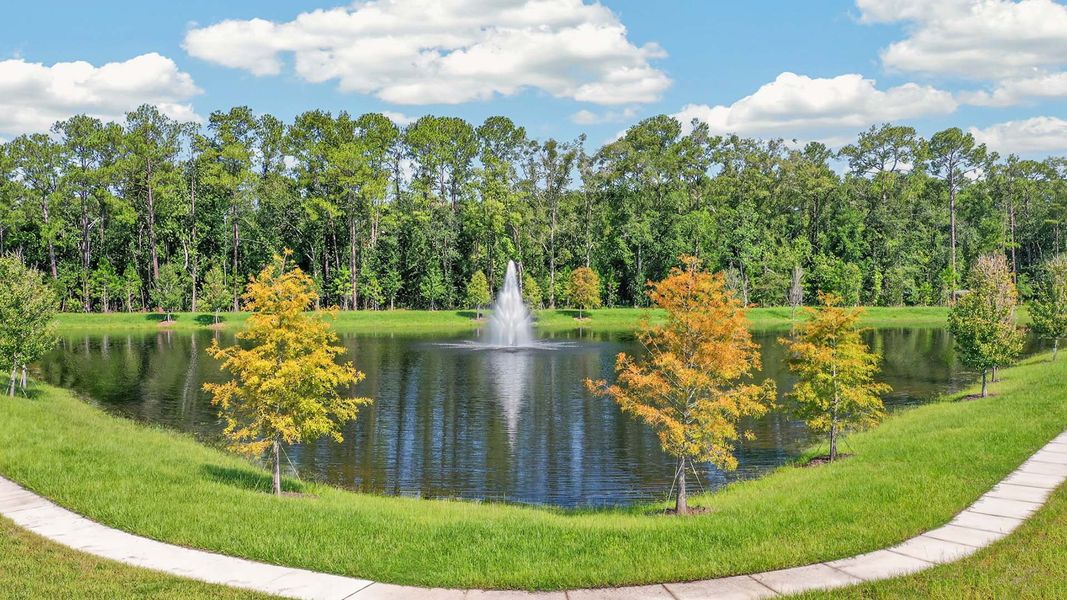 Natural surroundings and green spaces near Trout River in Jacksonville, FL (Image 28).