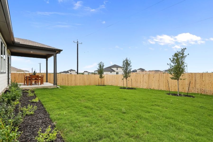 A backyard with a fence and a tree. A backyard with a fence and a tree.
