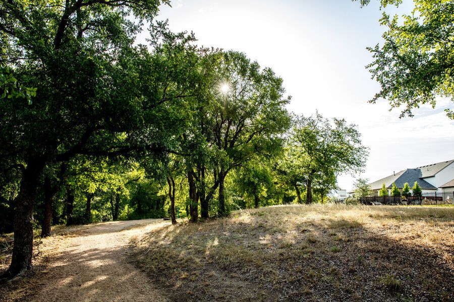 The Enclave at Parks of Aledo New Homes in Aledo, TX