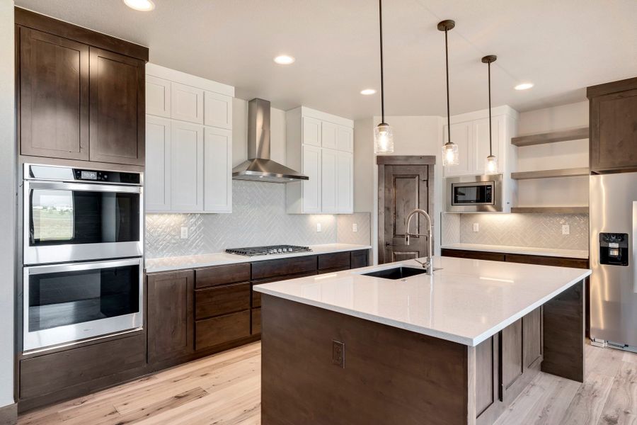 The Aurora Highlands,80019