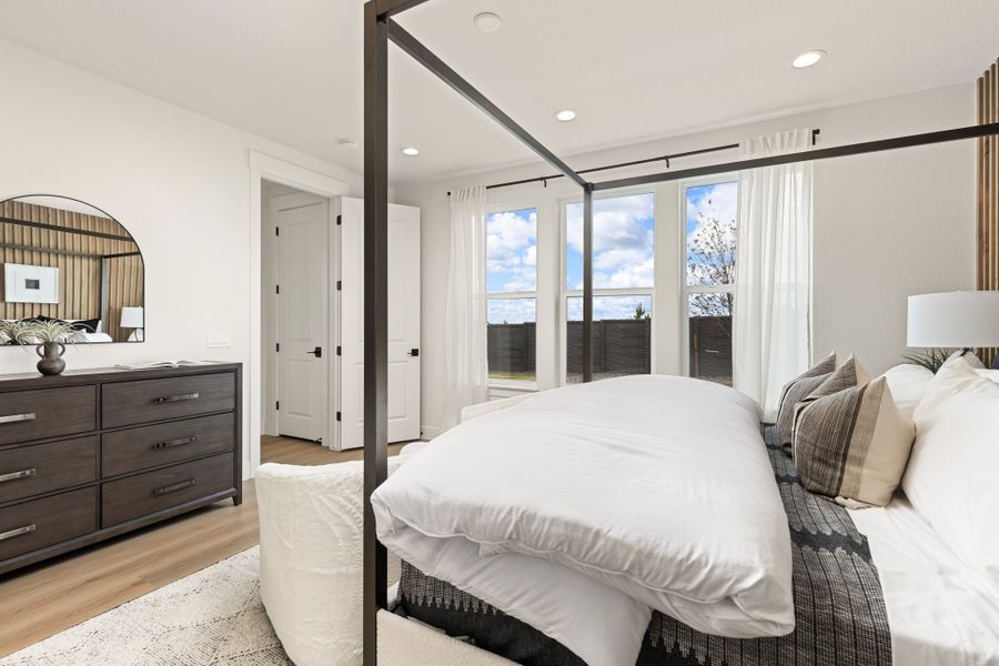 Sterling Ranch Homestead - American Legend Homes Model Home - Main Bedroom Sterling Ranch Homestead - American Legend Homes Model Home - Main Bedroom