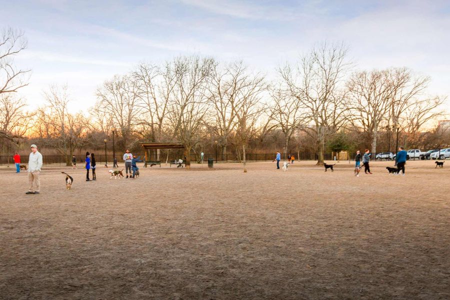 Image 20 of the The Grove at White Rock Hills – Gardens community in Dallas, TX.
