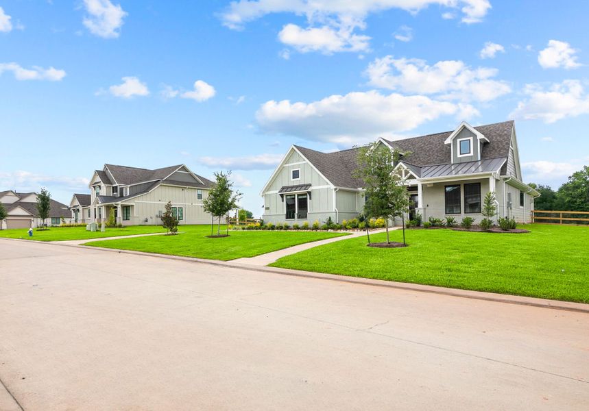 Streetscape Streetscape