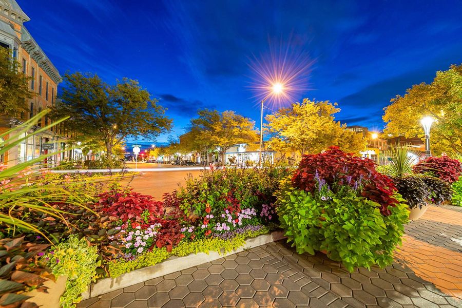 Northfield at Old Town,80524