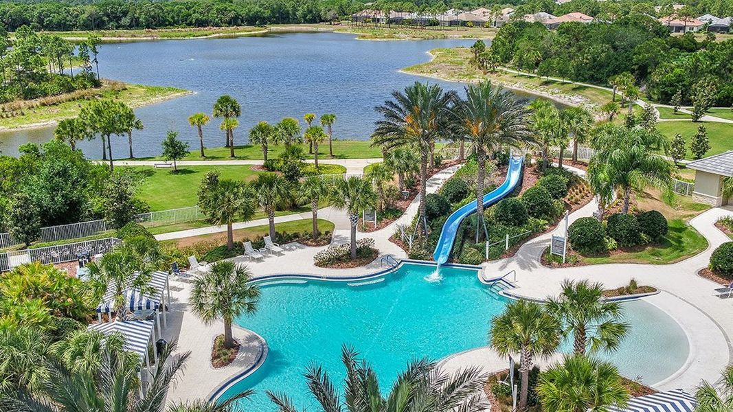 Community amenity available to residents of Grand Palm Real Estate and Homes for Sale in Venice, FL - Neal Communities in Venice (Image 12). Community amenity available to residents of Grand Palm Real Estate and Homes for Sale in Venice, FL - Neal Communities in Venice (Image 12).