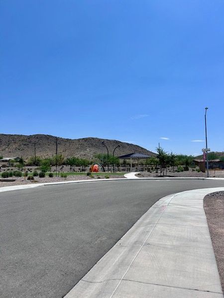 Scenic street view with desert landscaping in Estates at Laveen Vistas by Richmond American Homes (Laveen, AZ).