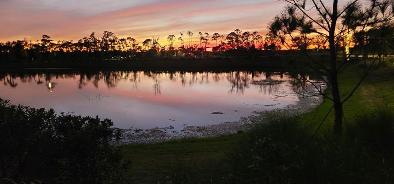 Natural surroundings and green spaces near The Sanctuary – Coastal Collection in Punta Gorda, FL (Image 40).
