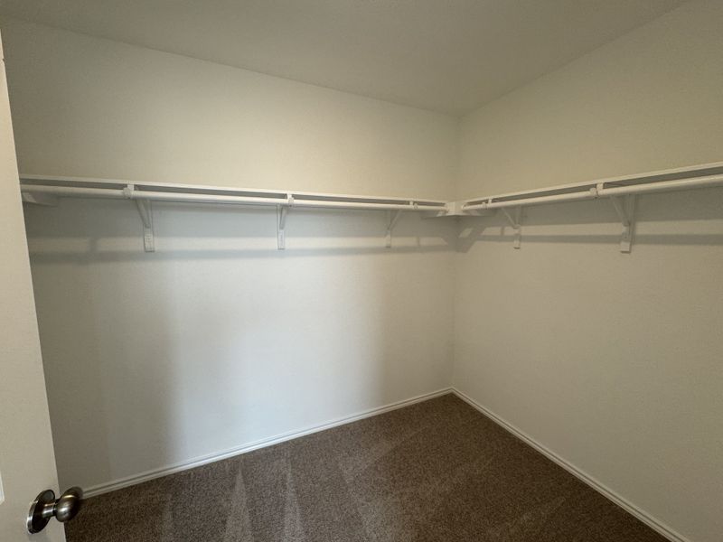 A spacious walk-in closet with carpeted flooring, white walls, and ample shelving for organized storage.