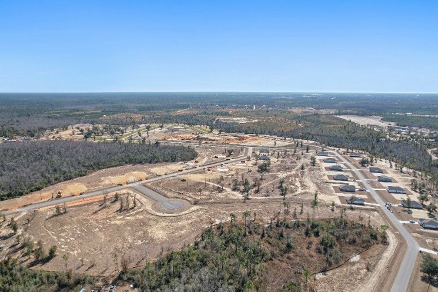 A road with trees and a road.