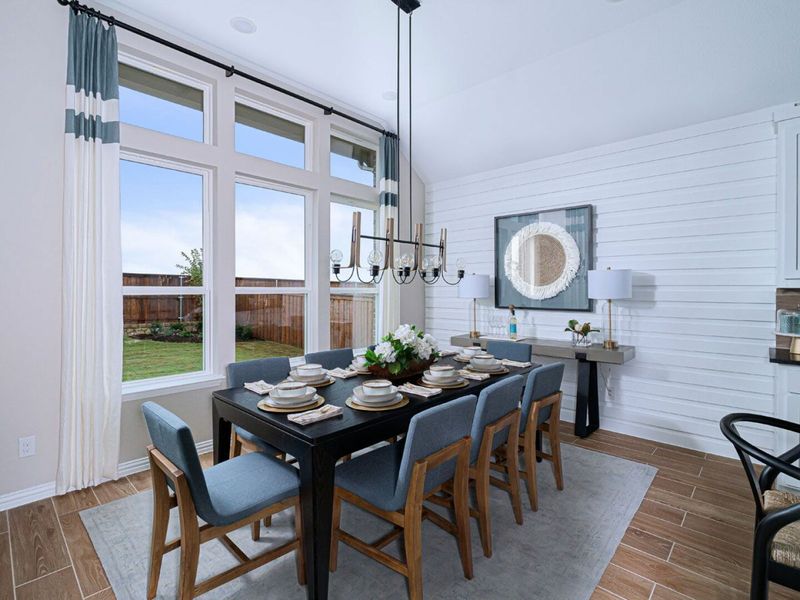 Image 4 of the Hollyhock Classic Series community in Frisco, TX.