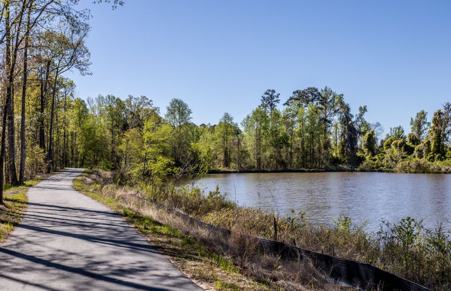 Walking Trail