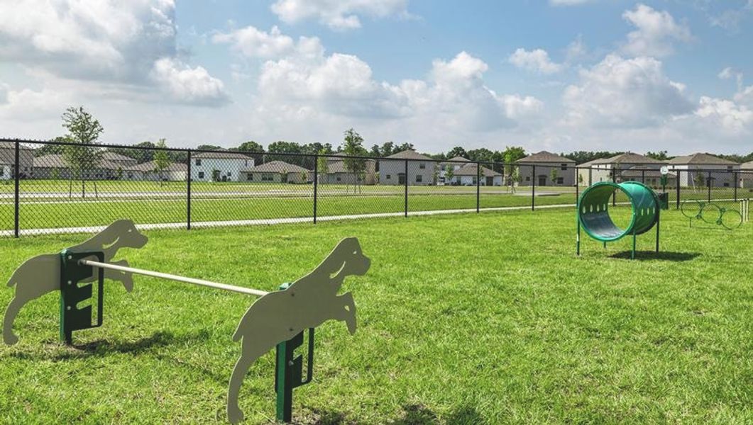 Community amenity available to residents of Riverstone in Lakeland (Image 10).