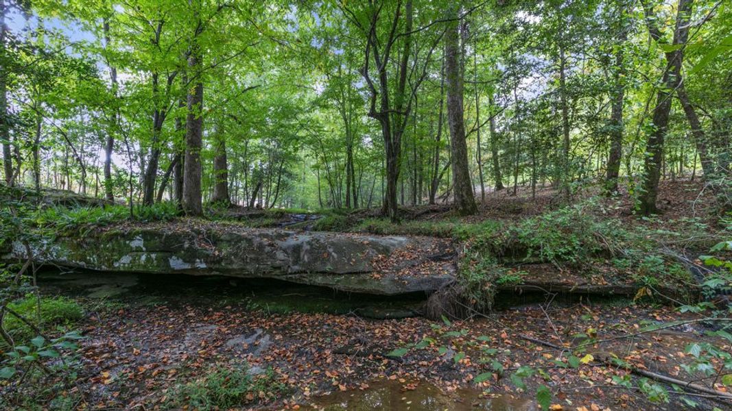Natural surroundings and green spaces near Kalas Falls in Wake Forest, NC (Image 50). Natural surroundings and green spaces near Kalas Falls in Wake Forest, NC (Image 50).