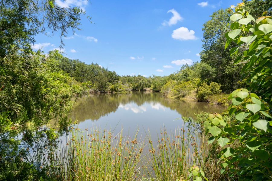 Natural surroundings and green spaces near Muir Wood in Bryan, TX (Image 6).