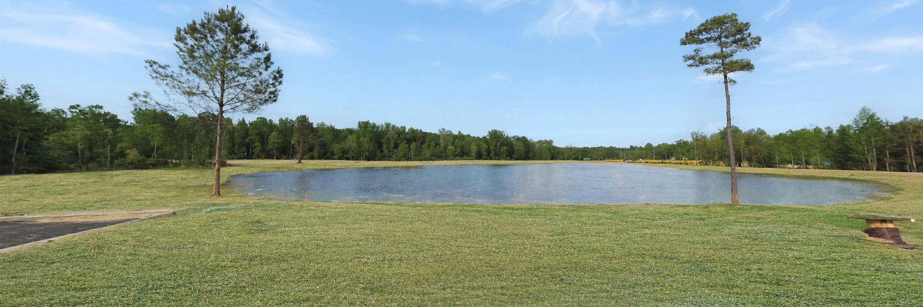 The Exchange Community Pond (AI Representation) The Exchange Community Pond (AI Representation)